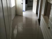 4/9 Elfin Street East Brisbane