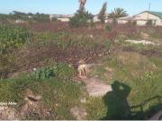 4 000 m² Land available in Weltevreden Valley