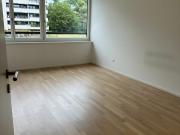 4.0 room apartment to let in baselmattweg 137a 4123...