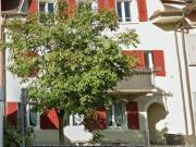 4.0 room apartment to let in fehrenstrasse 3 4226...
