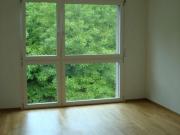 4.0 room apartment to let in schützenweg 29 4242 laufen