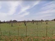 4.1 ha Land available in Brentwood Park