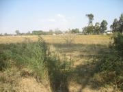 4.2827 HA AGRICULTURAL LAND – IN THE HEART OF MARTINDALE