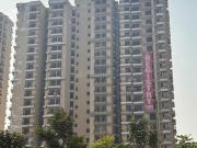 4.5 BHK Apartment in Wave City for rent Ghaziabad. The...