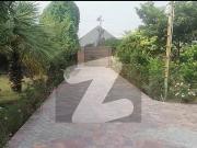 4.5 Kanal Unique Farm House In Sofia Farm Houses Bedian...