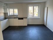 4.5 Zimmer, 110 m², 1. Stock