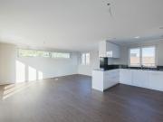 4.5 Zimmer Attikawohnung