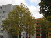 4,5 zimmer etagenwohnung mit balkon zur miete in...