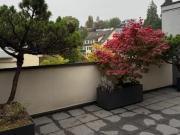 4,5 Zimmer Wohnung an ruhiger Wohnstrasse befristet auf...