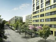 4.5 zw: ideale stadtwohnung für paare oder familie