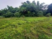 4,600 sqm Farm Lot For Sale in Tarlac City [Lots ] July...