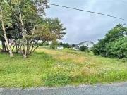4 6 Love Street, Bay Roberts, NL, A0A 1G0 vacant land...