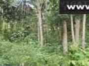 4,841sq. M Lot rush for sale@1000/sq.m in Basak cebu