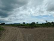 4.9 hectares Industrial Lot for Sale in C6 Taytay