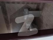 4 Bad Dd For Sale Available Falaknaz Golden Pebbles