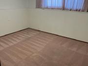 4 Bed 2 Bath Duplex: Avail Now