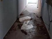 4 Bed Dd With Powder Washroom For Rent