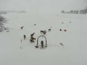 4 Bed Room Home on the Ocean New Brunswick