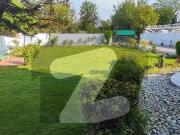 4 BEDROOM 933 Sq Yards House With Huge Garden For Rent...