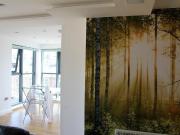 4 bedroom apartment to rent