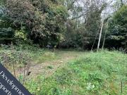 4 Bedroom Detached Bungalow For Sale In Berrys Green,...