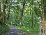 4 Bedroom Detached House For Sale In Cheltenham,...