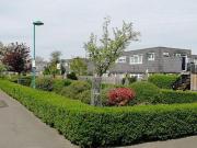 4 bedroom flat to rent