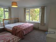 4 bedroom flat to rent