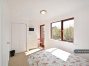 4 bedroom flat to rent