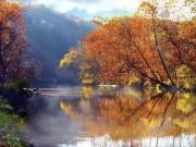 5 Bedroom Home for Rent at 70 Timbercrest Drive, Port...