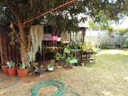 4 Bedroom House in Geelhoutpark