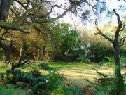 4 Bedroom House in Southcrest