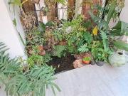 4 Bedroom House in Witfield