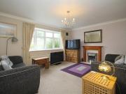 4 bedroom house share to rent