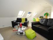 4 bedroom house share to rent