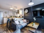 4 bedroom house share to rent