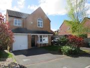 4 bedroom house to rent