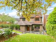 4 bedroom house to rent