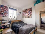 4 bedroom house to rent