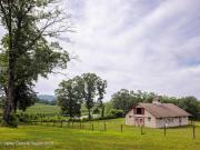 4 bedroom, NY NY 96462357