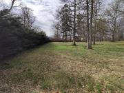 4 bedroom property with land for sale