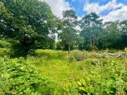 4 bedroom property with land for sale