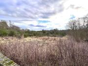 4 bedroom property with land for sale