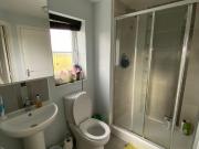 4 bedroom semi detached house for rent in Willis Place,...