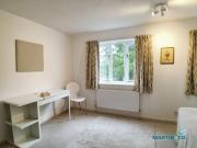 4 bedroom semi detached house to rent