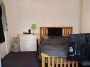 4 Bedroom Terraced To Rent in Arboretum