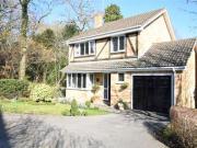 4 Bedrooms Detached house for sale in Tippits Mead,...
