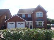 4 Bedrooms for rent in Bougainvillea Drive, Abington,...