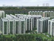 4 BHK 2010 Sq Ft Apartment In Tulip Violet, Sector 69,...