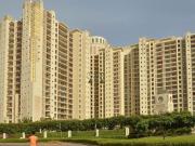 4 BHK 3400 Sq Ft Apartment In DLF The Summit, DLF Phase...